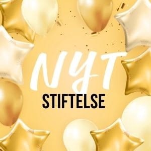 Nyt stiftelse