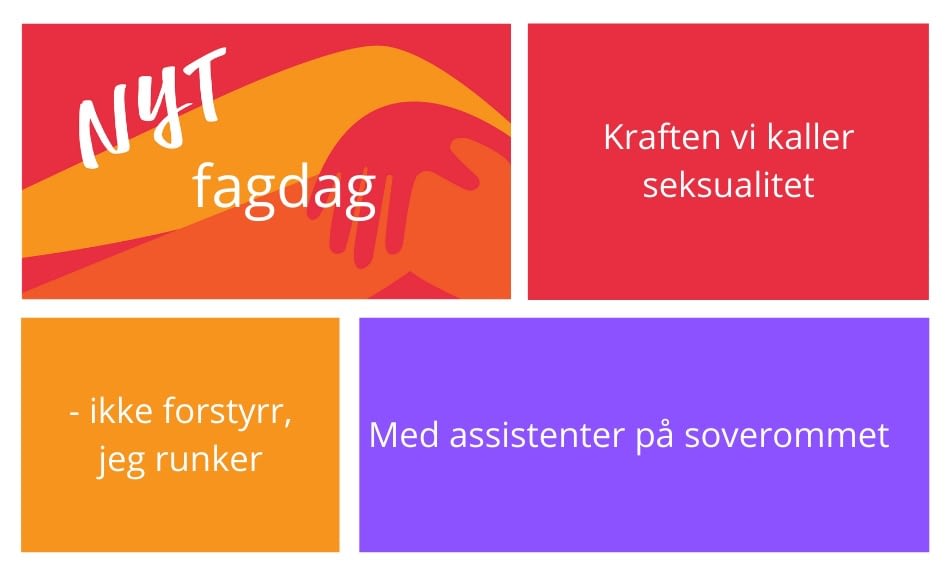 Fagdag